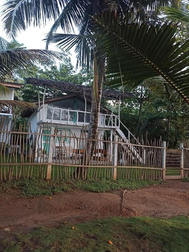 Beach House Kalukatiya - Family Villa, Seaview Room, Garden Room Dikwella Eksteriør billede
